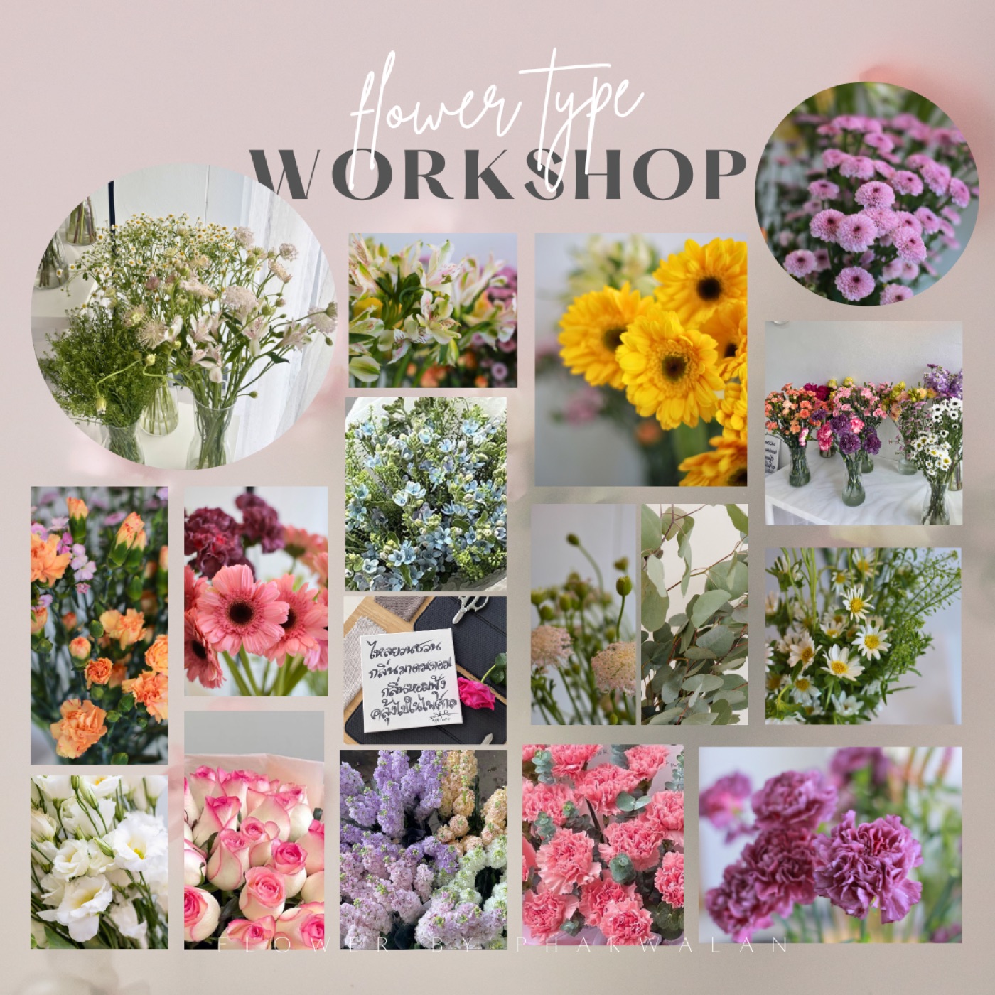 Daily Workshop จัดดอกไม้ หน้า 4
